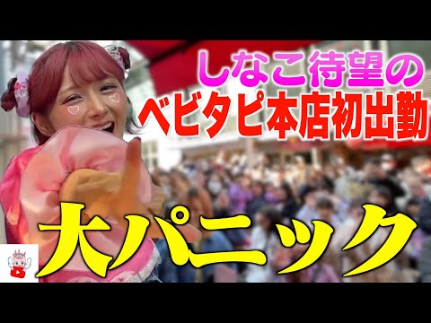 しなこのバースデーイベントでついにベビタピ本店に初出勤！！大人気すぎて大阪が大パニック！！