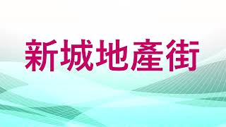 華懋集團執行董事兼行政總裁蔡宏興