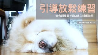 13分鐘 : 引導放鬆練習 : 強度0/5 : G. YOGA by greta lai