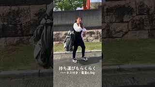 【折りたたみが簡単！しかも軽量コンパクト！最高のAB型ベビーカーCLIC】#ベビーカー #a型ベビーカー #b型ベビーカー #shorts