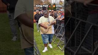 Who is this guitarist? #trending #music #guitar #madguy  #musictrends #jazz #kingfish