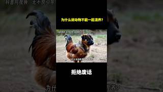 为什么说动物不能一起混养？ #冷知识 #涨知识