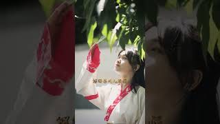 《清平调 名花倾国两相欢》