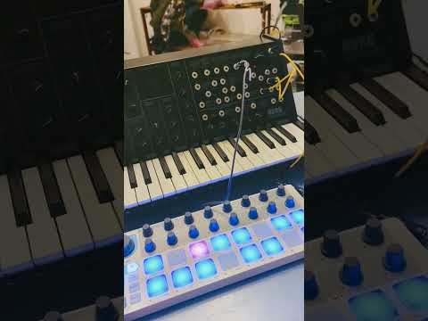 Korg MS-20 mini self-sequencing, while the low-pass filter controlled via CV by Arturia Beatstep