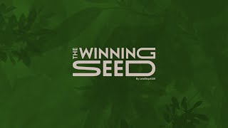 The Winning Seed 2024