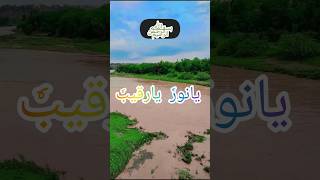 Powerfull wazifa #skanwalquranreels #viralvideo #qurantranslation
