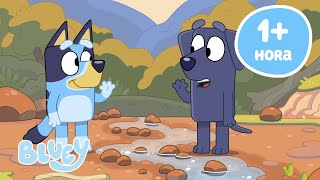🔴 EN VIVO: Los mejores momentos de Bluey (1 hora o más) | Bluey