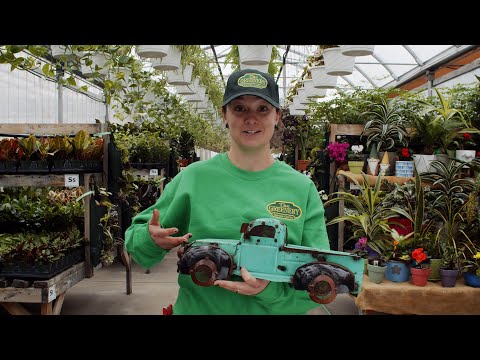 The Greenery: We don't sell cars...