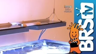 Ecotech Radion Aquarium LED EP:9 How to start a salt water aquarium