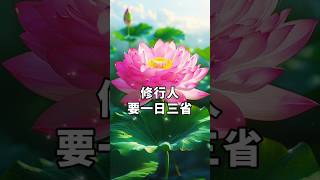 #修心修行 #佛學智慧 #佛教文化 #佛家 #正能量語錄 #智慧人生 #人生感悟 完整版http://www.mahayanauniversallight.live/#/v2/read/69819