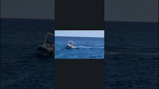 Italian tourists attacked by sharks at Marsa Alam in Egypt. Amateur video of the rescue pops up💥☢🔥😱