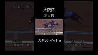競馬　大阪杯　注目馬　ステレンボッシュ　　　　　　　　　　　　　　#jra #競馬 #大阪杯 #競馬#ステレンボッシュ #モレイラ