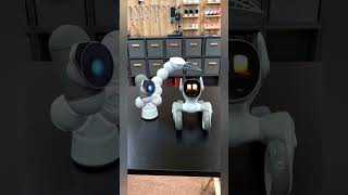 Loona vs ClicBot #petrobot #petbot #loona #loonarobot #clicbot #clicbotrobot