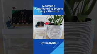 Automatic Plant Watering System Using a Micro:bit By thediylife