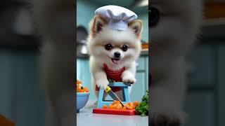 "Tiny Chef, BIG Talent: Teacup Pomeranian Cooks a Gourmet Meal!" #dogchef #cutedog #pomeranianpuppy