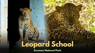 Leopard School