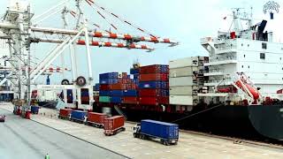 S J EXIM Services-DGFT Clarifies Certification Norms for Organic Textile Exports