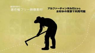 著作権フリー動画素材／商用利用可！／耕す人／アルファーチャンネル