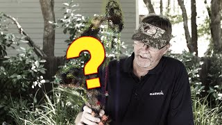 Wade's Bow Setup for 2020 - BlackOut Archery Review