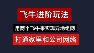 用两个飞牛实现异地组网