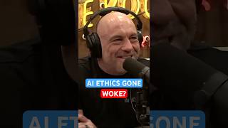 AI Experts Only Worried About N-Word?