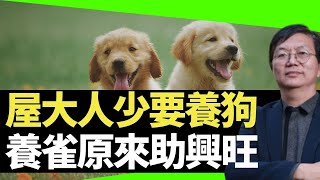 蔣匡文  屋大人少要養狗 養雀原來助興旺  （D100 蔣權天下 主持：蔣匡文 梁家權）
