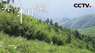 《美丽中国自然》 太白山：中国大陆青藏高原以东第一高峰 它也是中国长江和黄河两大水系的分水岭 云上秦岭系列【CCTV纪录】
