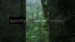Snakes’ Secret Superpower #snakefacts