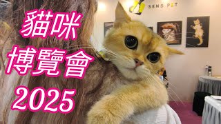 香港貓迷博覽會2025 😻😸😹 花絮 HONG KONG CAT EXPO Day1 1/8/2025