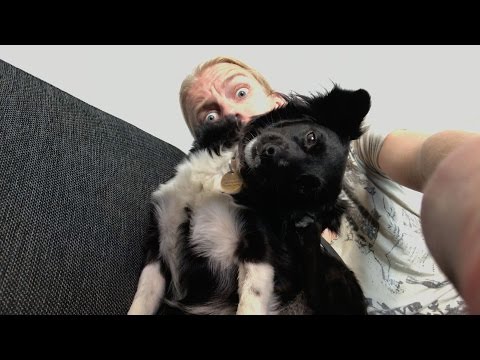 VLOG #002 - The day of a Social Media Manager