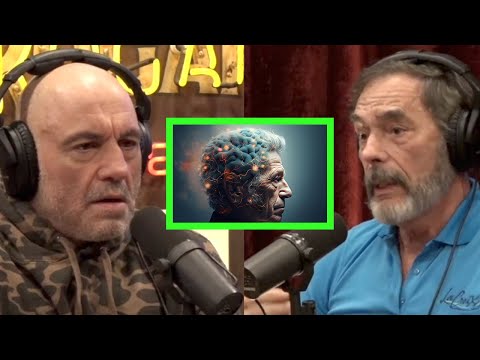 Dr. Mark Gordon on Inflammation and Alzheimer's