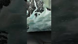 #carwash #iamdad #foamwash
