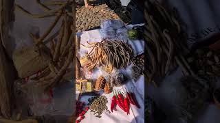 Intercambio de semillas criollas y nativas en Suchitoto, El Salvador