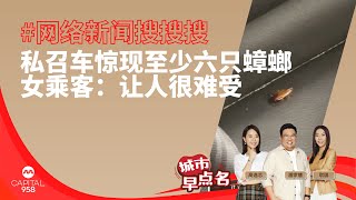 CAPITAL 958 | 网络新闻搜搜搜：私召车惊现至少六只蟑螂 女乘客：让人很难受