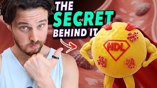 How HDL Cholesterol REALLY Works its Longevity Magic | Your Doctor Won't Tell You THIS
