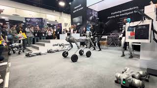 CES 2025. Unitree Robotics. Go2-W and B2-W Demo