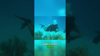 Exploring Barbados! A Dive into Caribbean Wonders