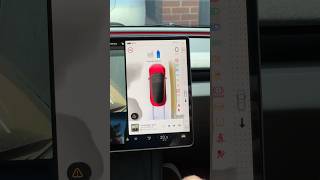 Best New Feature on the Tesla Model 3 😍