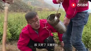 【發明迷】大學生自製鼢鼠活捕器，歷時4年終於成功，月賺2萬成功逆襲
