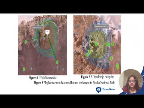 COMPASS 2023 - Analysis of Elephant Movement in Sub-Saharan Africa
