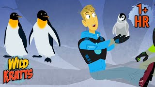 Penguins Rescued from the Arctic | Penguin Awareness Day (Jan 20) | Wild Kratts
