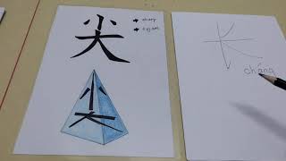 5yo 长和尖