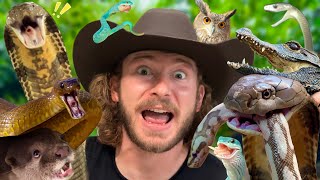 Feeding VENOMOUS SNAKES!