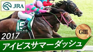 2017年 アイビスサマーダッシュ（GⅢ） | ラインミーティア | JRA公式