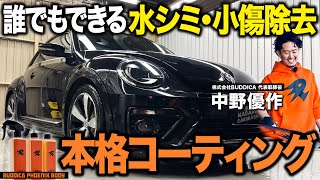 【再販開始】艶に特化したバディカフェニックスのシャンプー・ベース・コーティング簡単3ステップで徹底洗車したら極上の仕上がりになりました【BUDDICA PHOENIX BODY】
