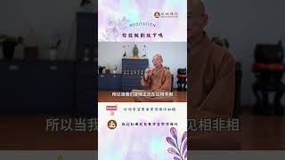你能做到放下嗎 | 歡迎線下來菩提禪苑免費學習冥想| What is meditation? Learn meditation #meditation