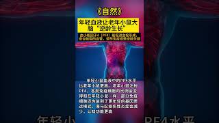 年轻血液让老年小鼠大脑“逆龄生长”