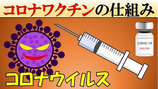 新型コロナウイルスのワクチンはどのように作用する？【mRNAワクチン】