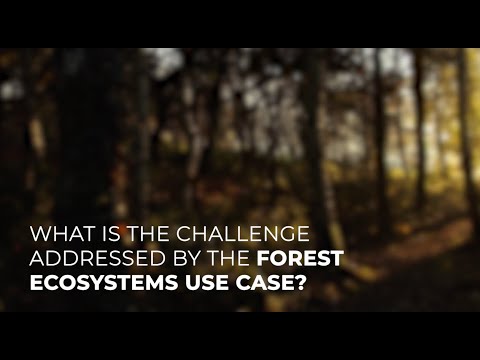 Forest Ecosystems Use Case - EO4EU