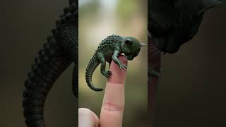 Miniature Hybrid Creatures You Wish Were Real 🐾
